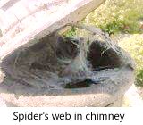 Web on chimney